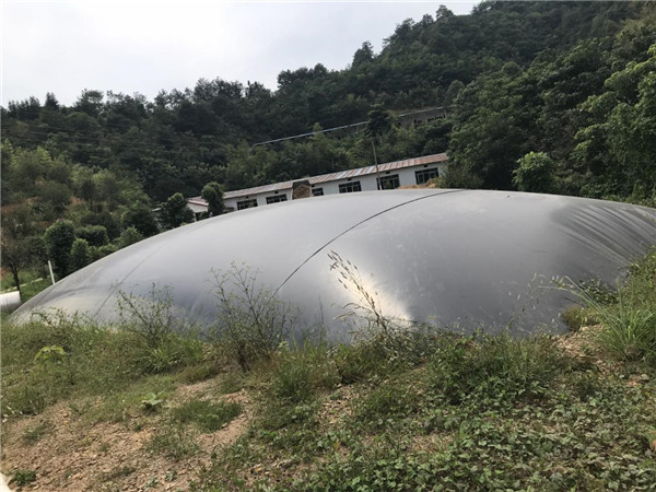 生豬養(yǎng)殖廢水處理案例現(xiàn)場